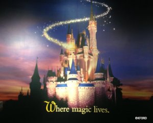 where magic lives